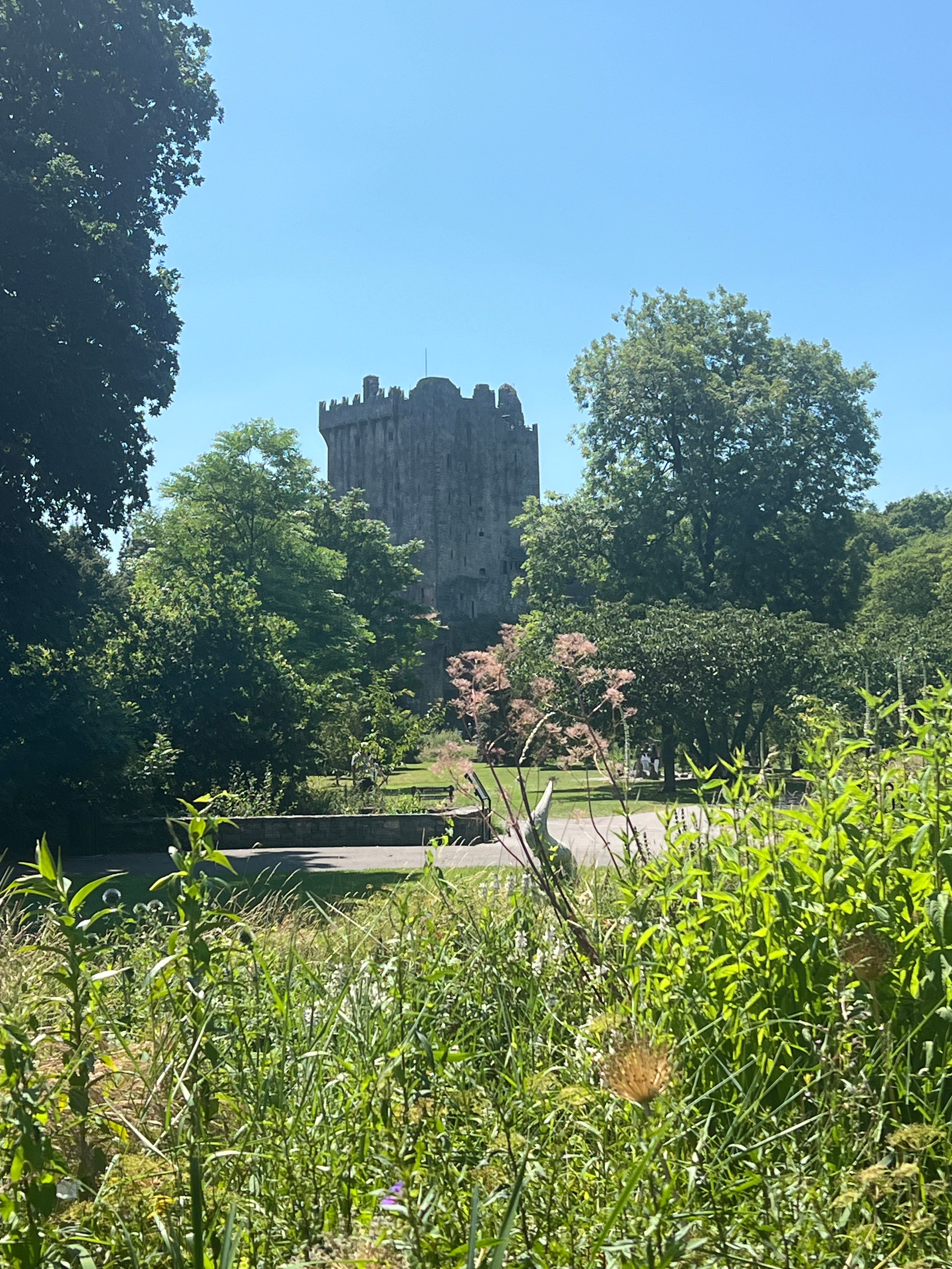Blarney Castle