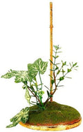 Mark Roberts Fern Ivy Stand Small 7.5"