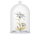 Swarovski 130th Anniversary Bell Jar Edelweiss