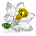 Swarovski 2026 NEW Second Edition, Florere Daffodil
