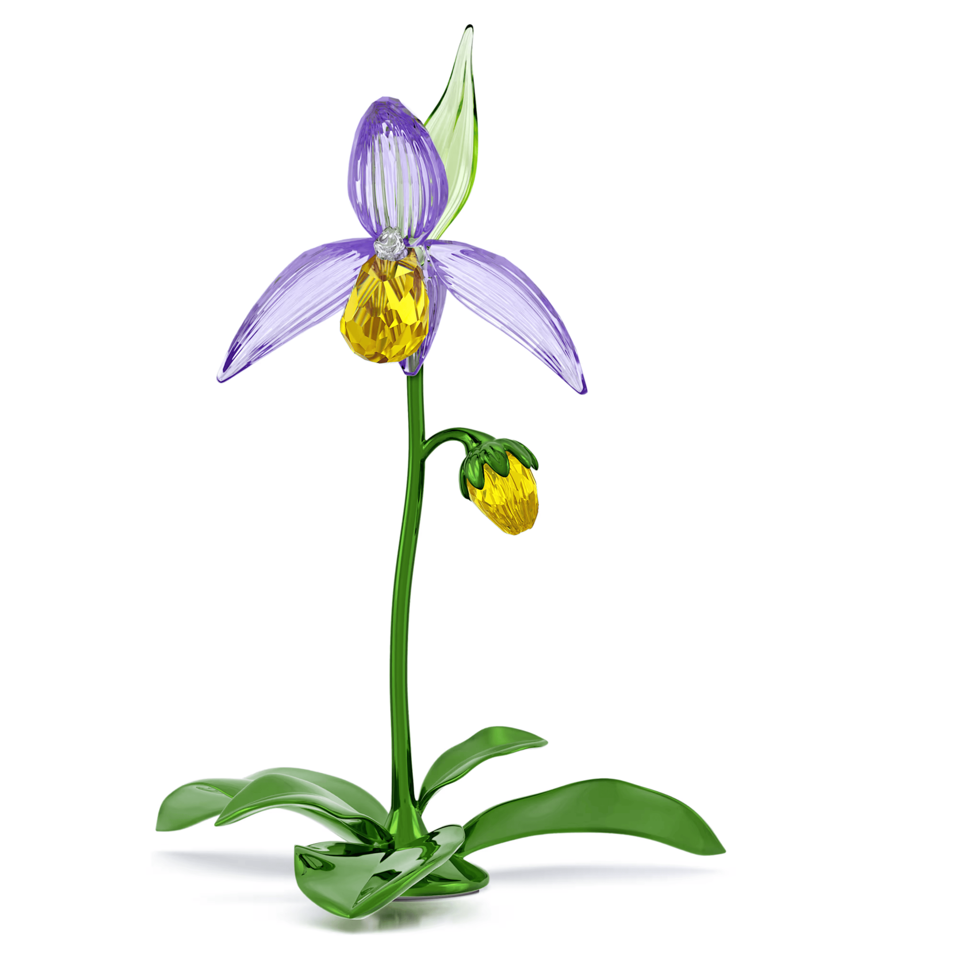 Swarovski 2026 NEW Florere Lady Slipper Orchid