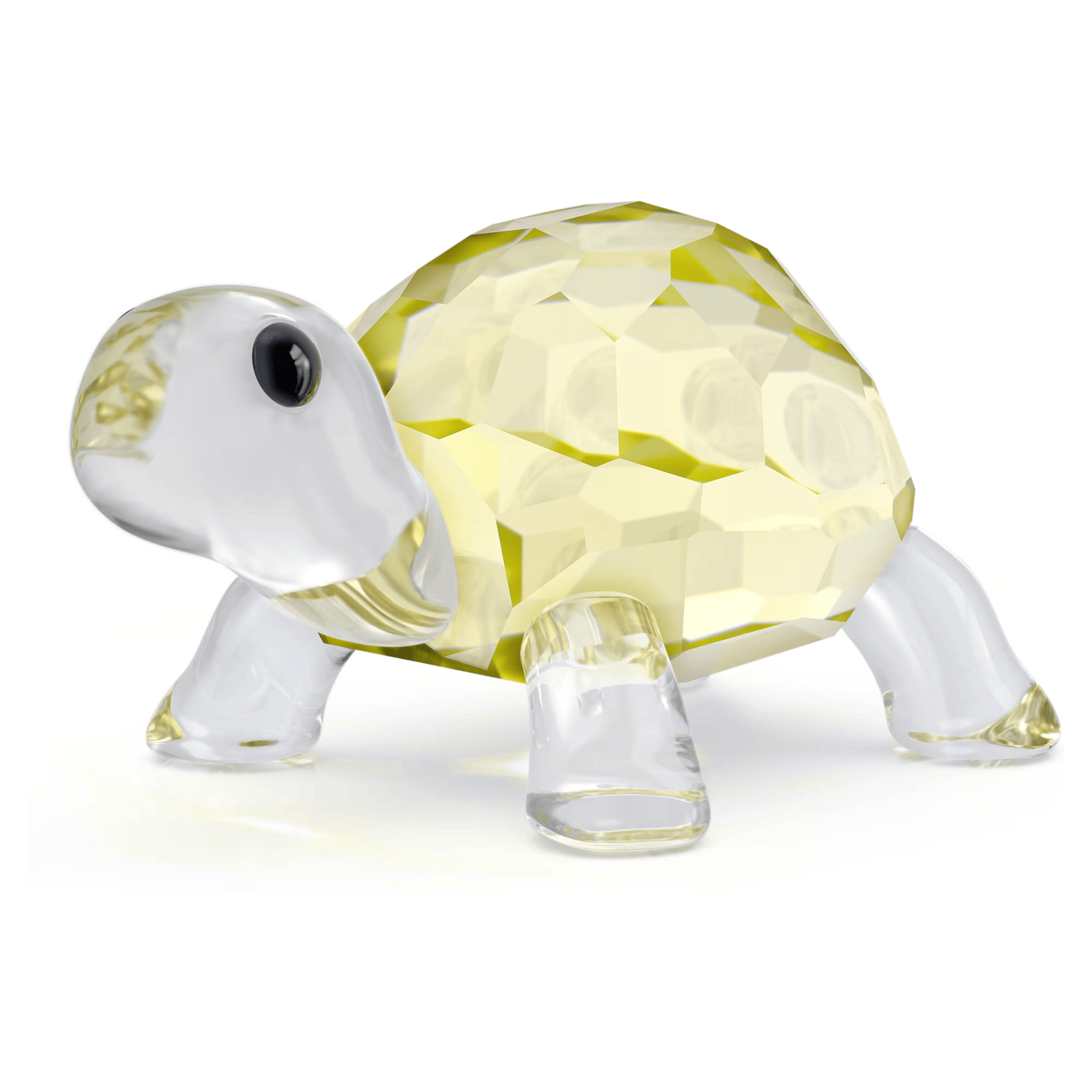Swarovski 2026 NEW Idyllia Baby Tortoise

