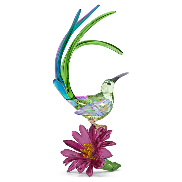 Swarovski 2025 NEW Idyllia Sugarbird and Cactus Flower