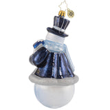 Christopher Radko NEW Spending The Day With Mr. Blue Jay Ornament