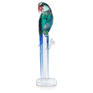 Swarovski Jungle Beats Green Macaw Banjo